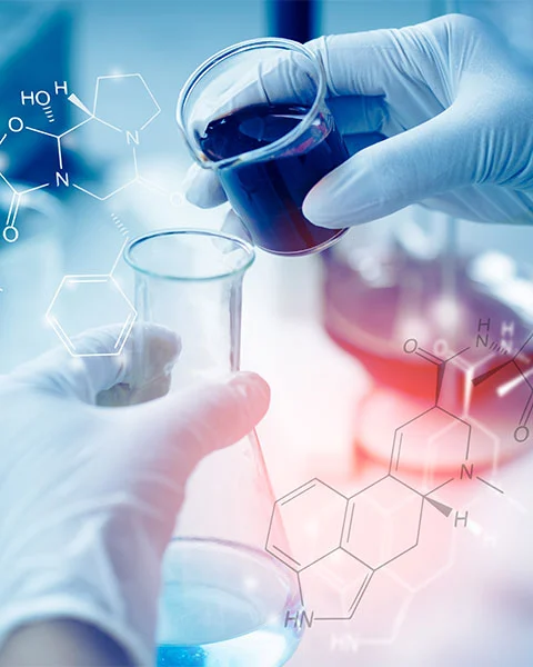 Die Sulfatverschmutzung erreicht in wichtigen Flusssystemen kritische Werte