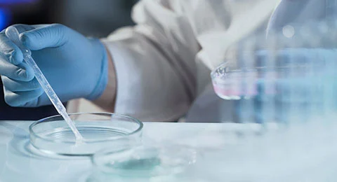 Sodium Sulfite Cas No